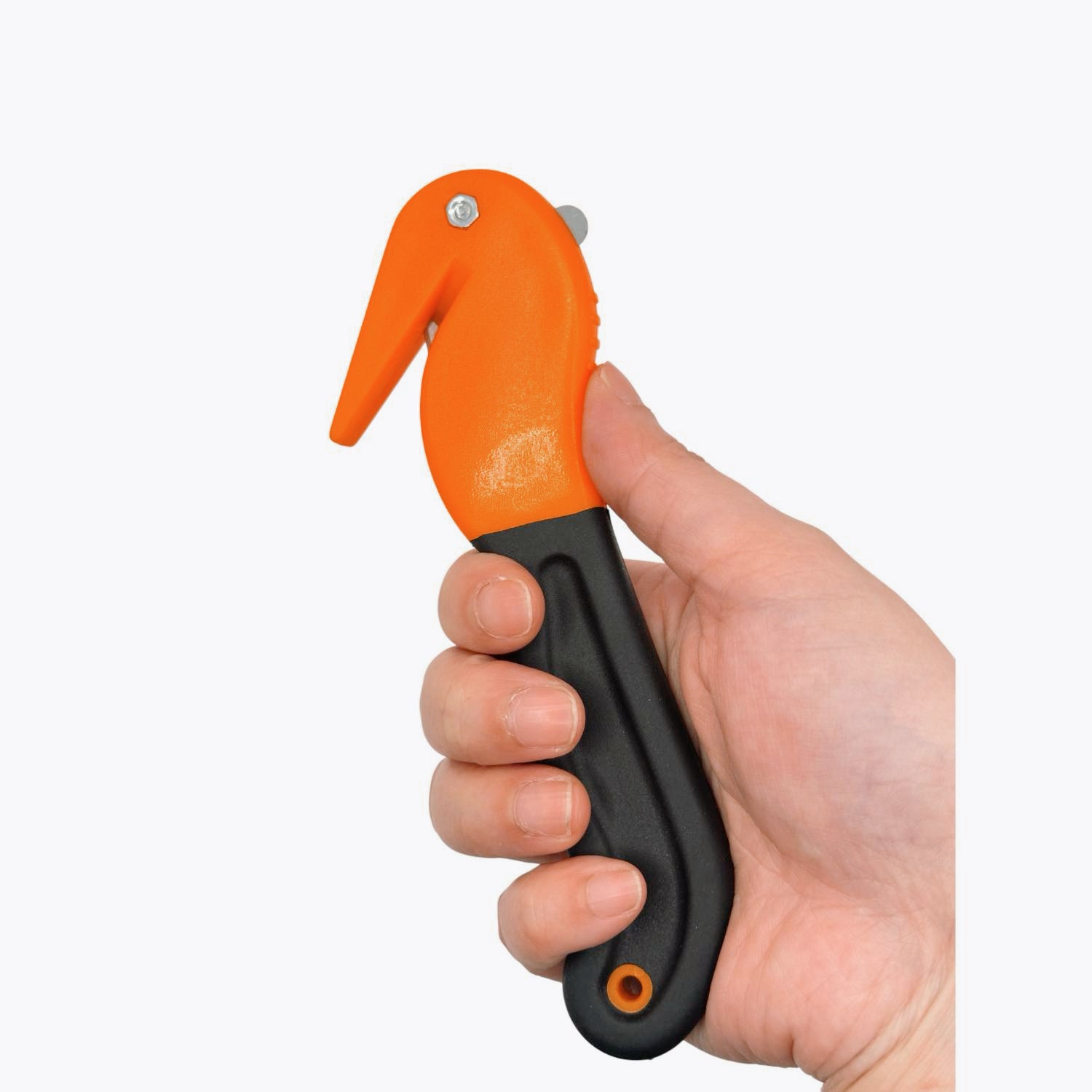 CB001 Sea Horse